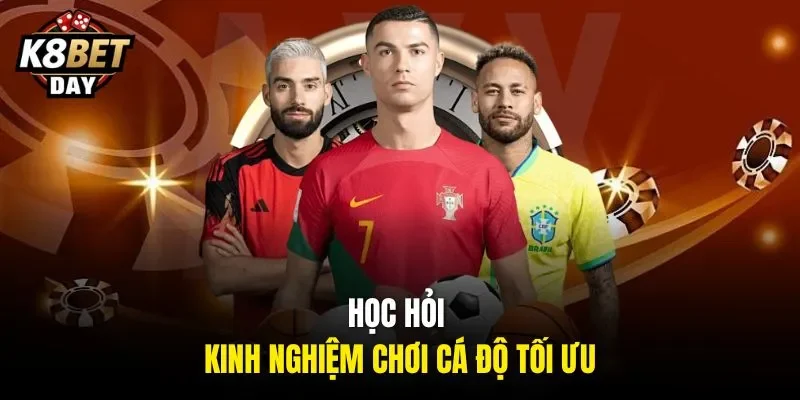 Học hỏi kinh nghiệm chơi cá độ tối ưu